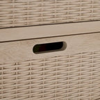 Meuble de rangement à deux tiroirs avec trois paniers amovibles - 39,8 m (l) X 12,5 m (L) X 29,5 m (H) - 41 m (l) X 13 m (P) X 26 m (H)